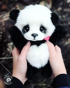 Detail Gambar Anak Panda Lucu Nomer 35
