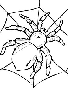 Detail Kinderschmink Vorlage Spinne Geschminkt Nomer 15
