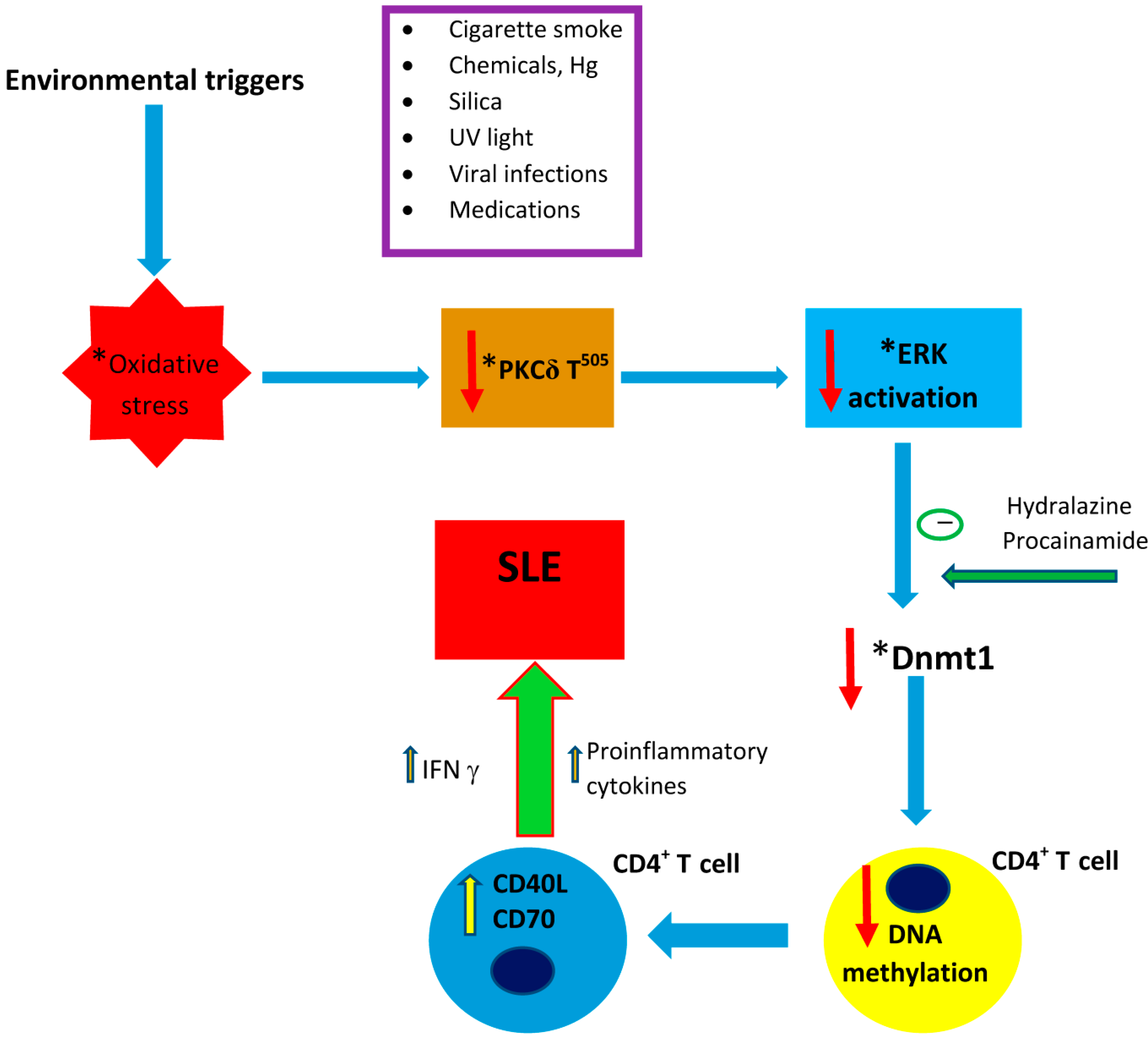 Detail Lupus Erythematodes Bilder Nomer 16