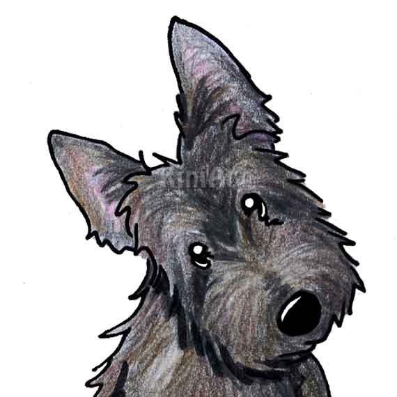 Detail Scottish Welsh Terrier Nomer 9