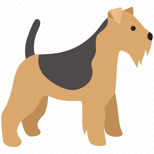 Detail Scottish Welsh Terrier Nomer 3