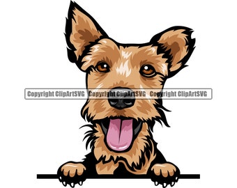 Detail Scottish Welsh Terrier Nomer 4