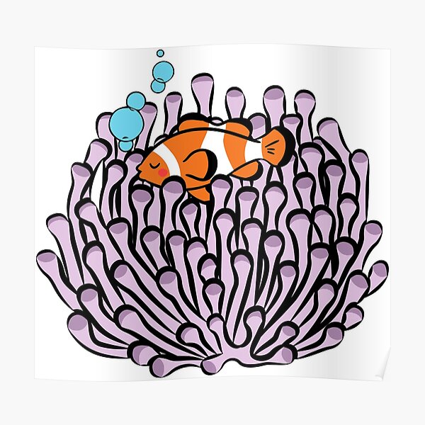 Detail Seeanemone Zeichnen Nomer 8