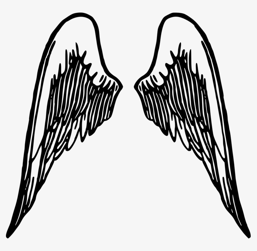 Detail Wings Logo Nomer 15