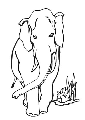 Detail Elefant Von Hinten Nomer 8