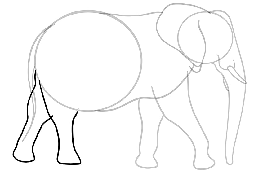 Detail Elefant Von Hinten Nomer 12