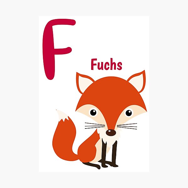 Detail Fuchs Und Kiwi Erwachsene Nomer 21