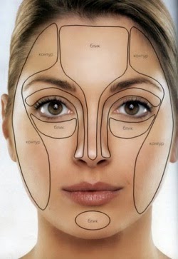 Detail Gambar Anatomi Bagian Wajah Nomer 6