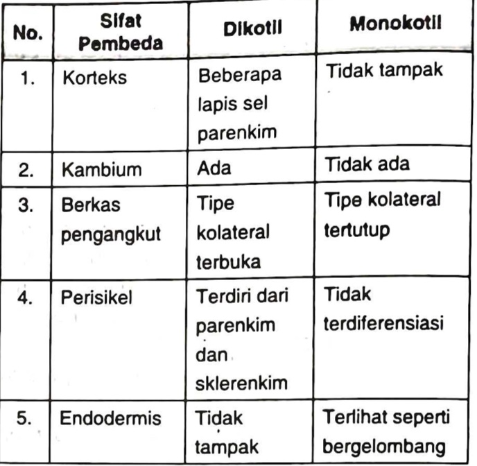 Detail Gambar Anatomi Batang Dikotil Dan Monokotil Nomer 37