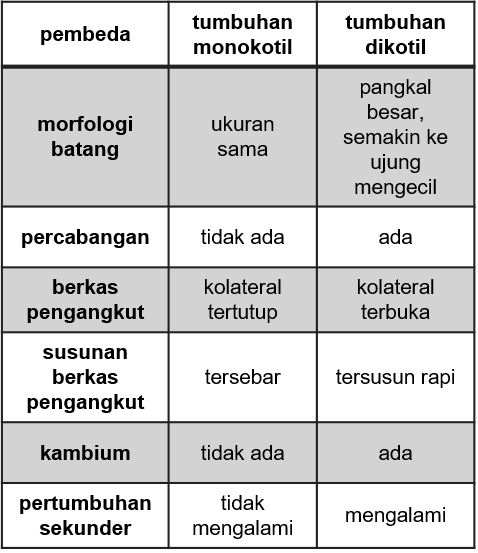 Detail Gambar Anatomi Batang Dikotil Dan Monokotil Nomer 50