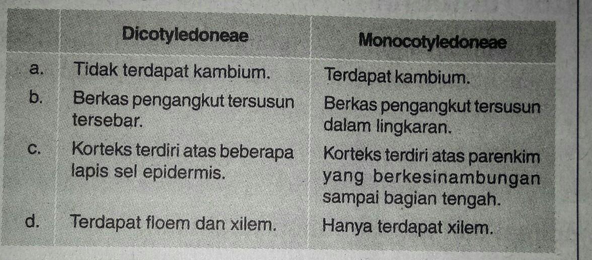 Detail Gambar Anatomi Batang Dikotil Dan Monokotil Nomer 51