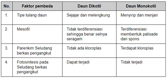 Detail Gambar Anatomi Daun Dikotil Dan Monokotil Nomer 48