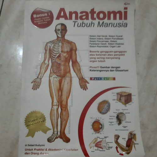 Detail Gambar Anatomi Rubuh Nomer 42