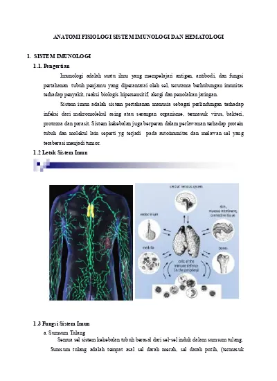 Detail Gambar Anatomi Sistem Imun Dan Hematologi Nomer 2