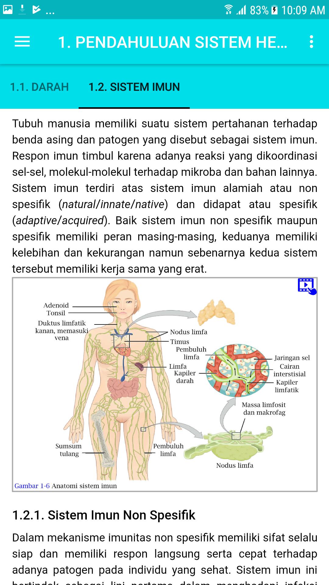 Detail Gambar Anatomi Sistem Imun Dan Hematologi Nomer 18