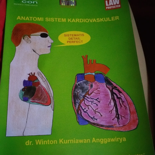 Detail Gambar Anatomi Sistem Kardiovaskuler Nomer 35