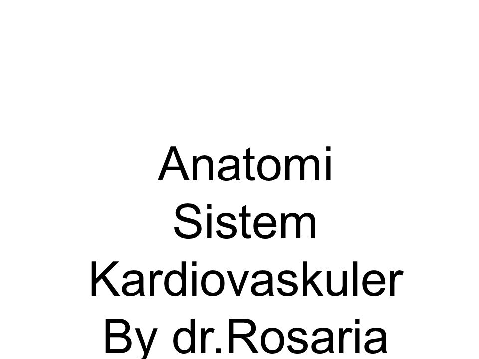 Detail Gambar Anatomi Sistem Kardiovaskuler Nomer 39