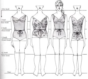 Detail Gambar Anatomi Tubuh Per Bagian Nomer 41