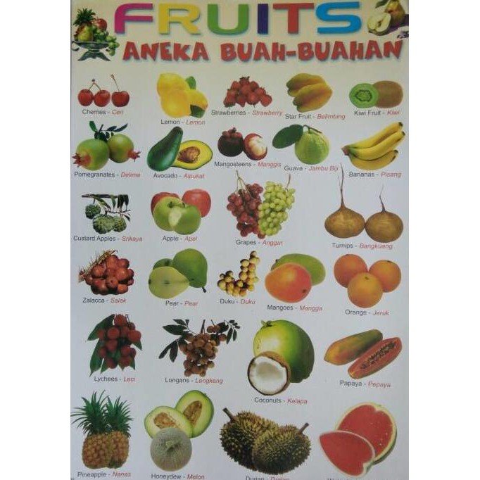 Gambar Aneka Buah Buahan - KibrisPDR