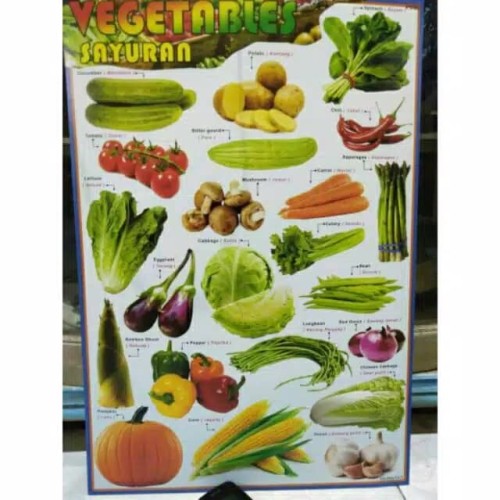 Detail Gambar Aneka Sayuran Segar Nomer 27