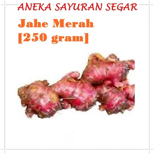 Detail Gambar Aneka Sayuran Segar Nomer 39