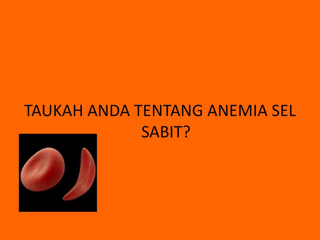 Detail Gambar Anemia Sel Sabit Nomer 52