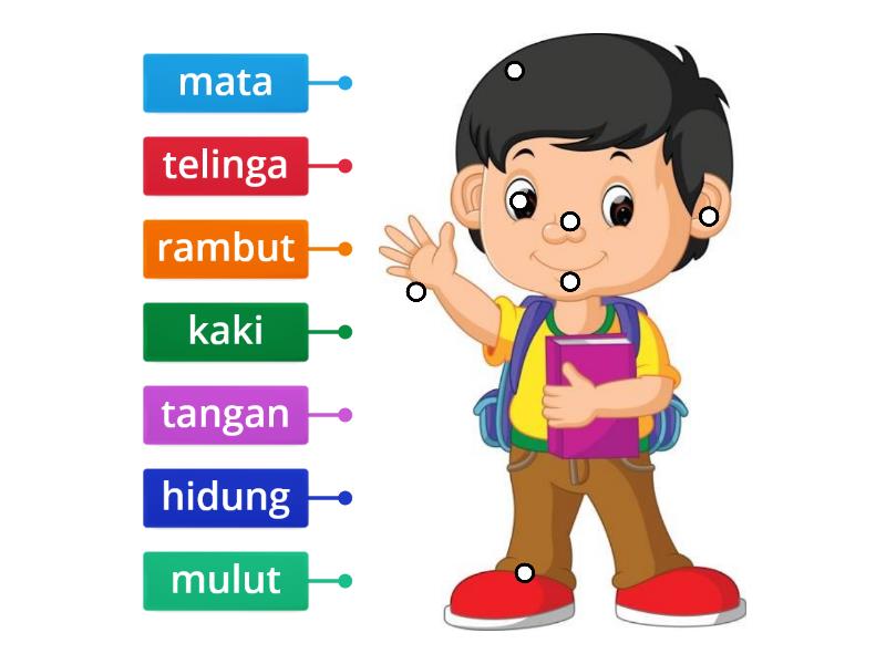 Detail Gambar Anggota Badan Nomer 14