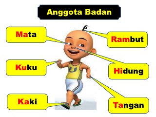 Detail Gambar Anggota Badan Nomer 15