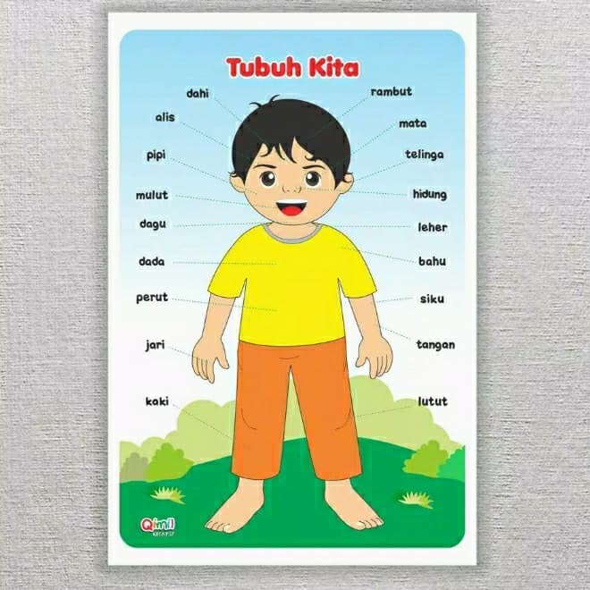 Detail Gambar Anggota Badan Nomer 20