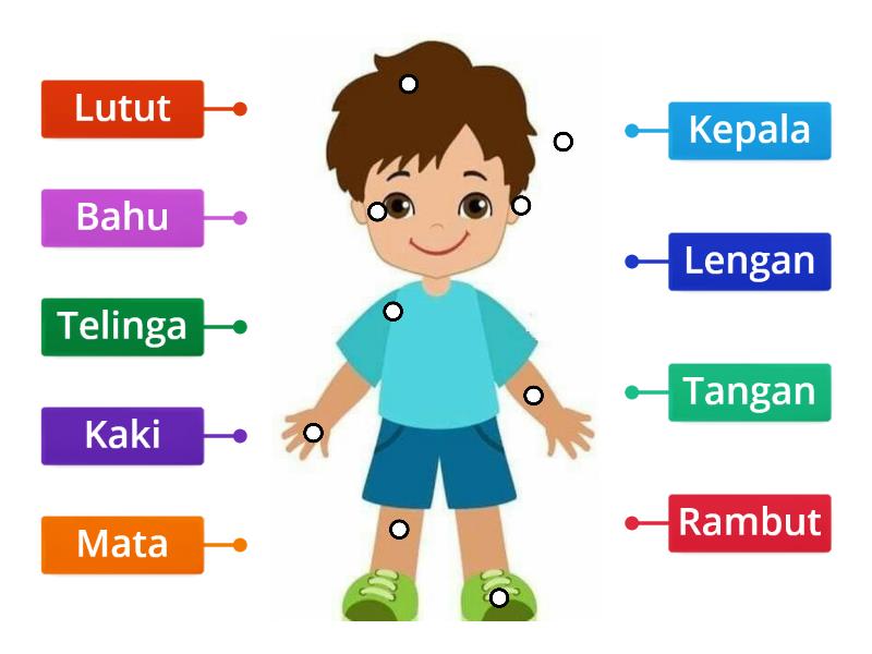 Detail Gambar Anggota Badan Nomer 21
