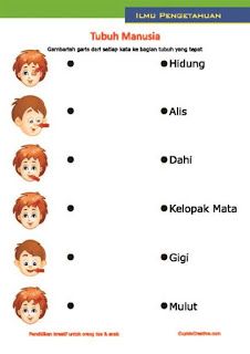 Detail Gambar Anggota Badan Nomer 22