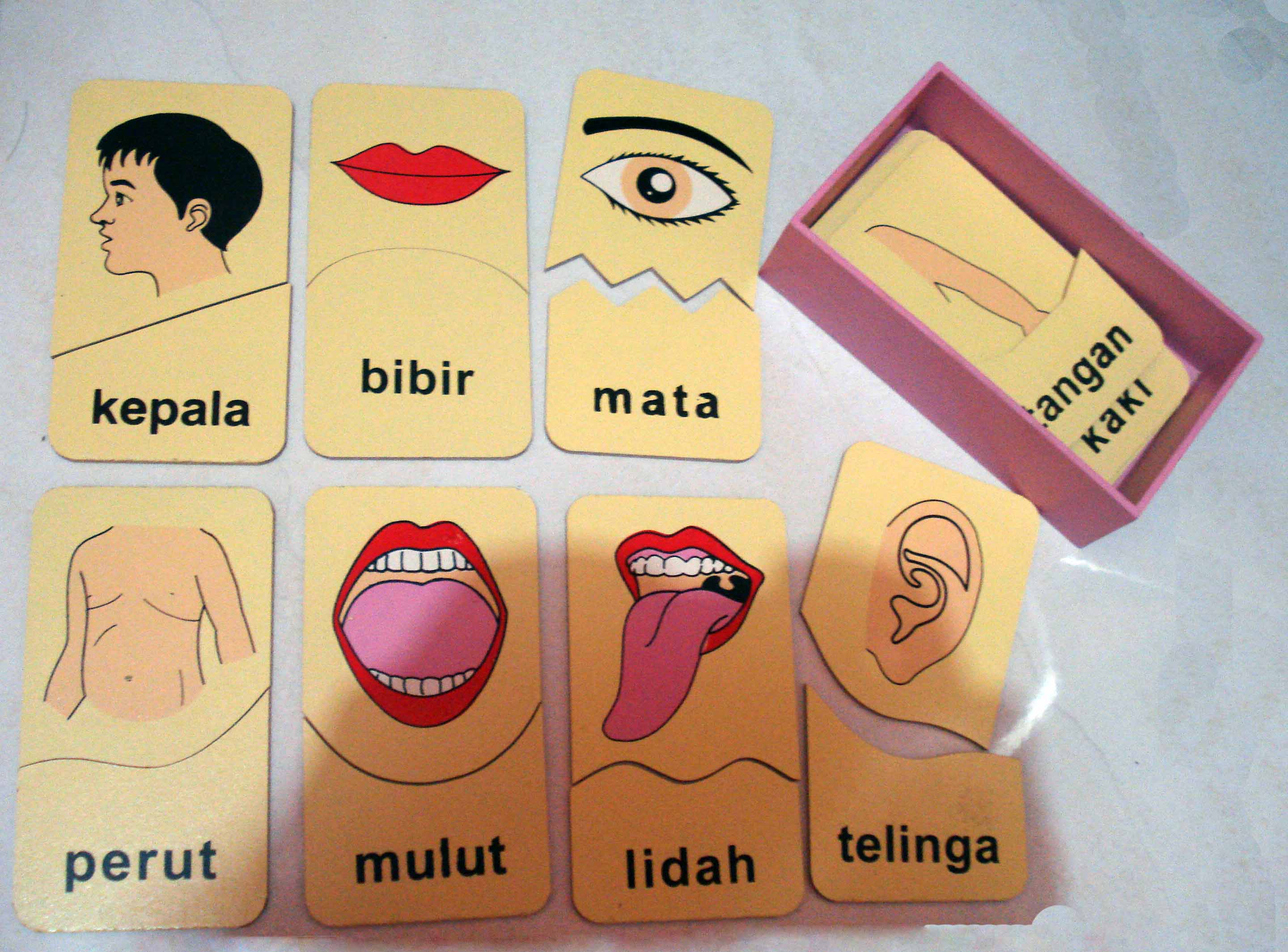 Detail Gambar Anggota Badan Nomer 28