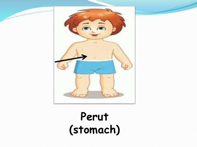 Detail Gambar Anggota Badan Nomer 30