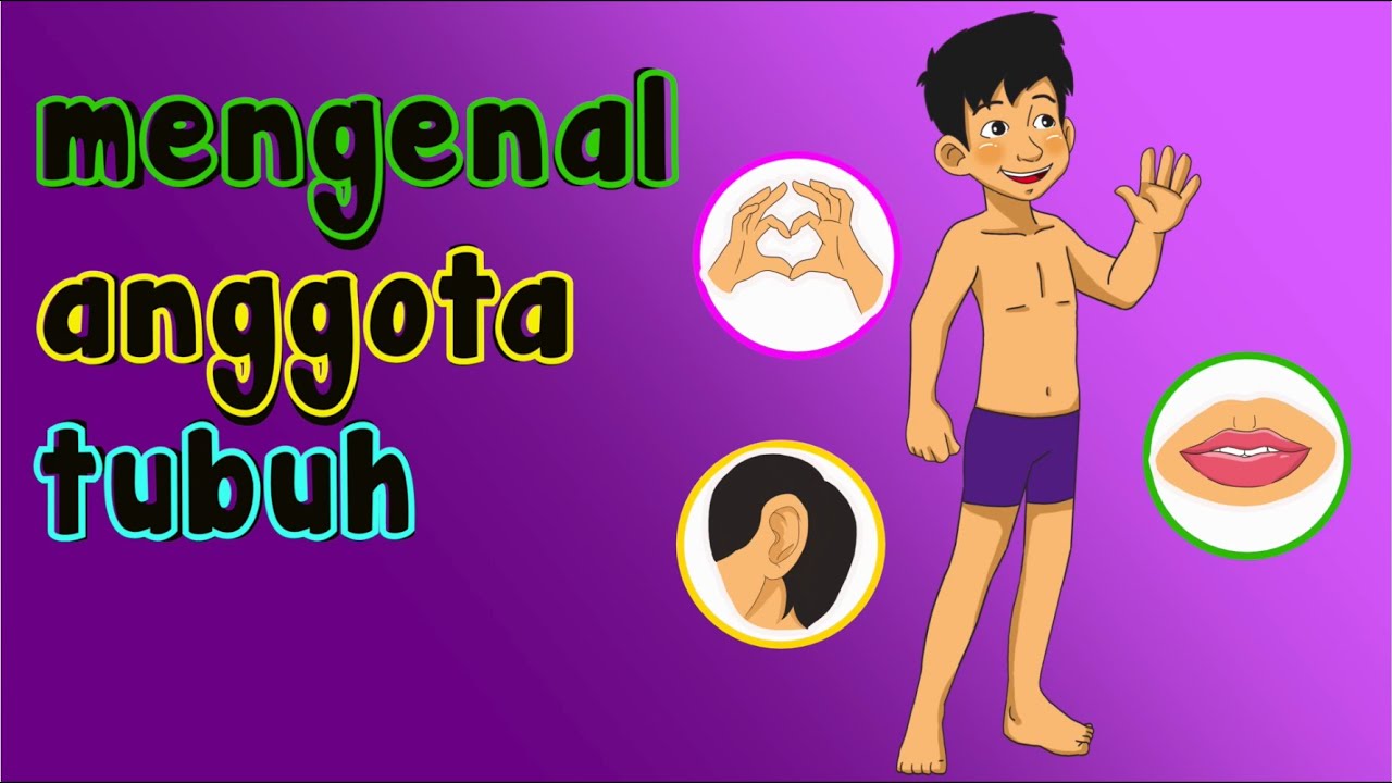 Detail Gambar Anggota Badan Nomer 34