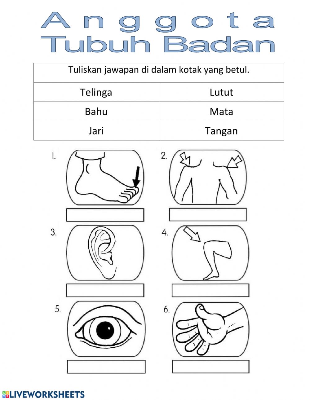 Detail Gambar Anggota Badan Nomer 5