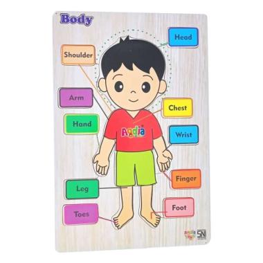 Detail Gambar Anggota Badan Nomer 39