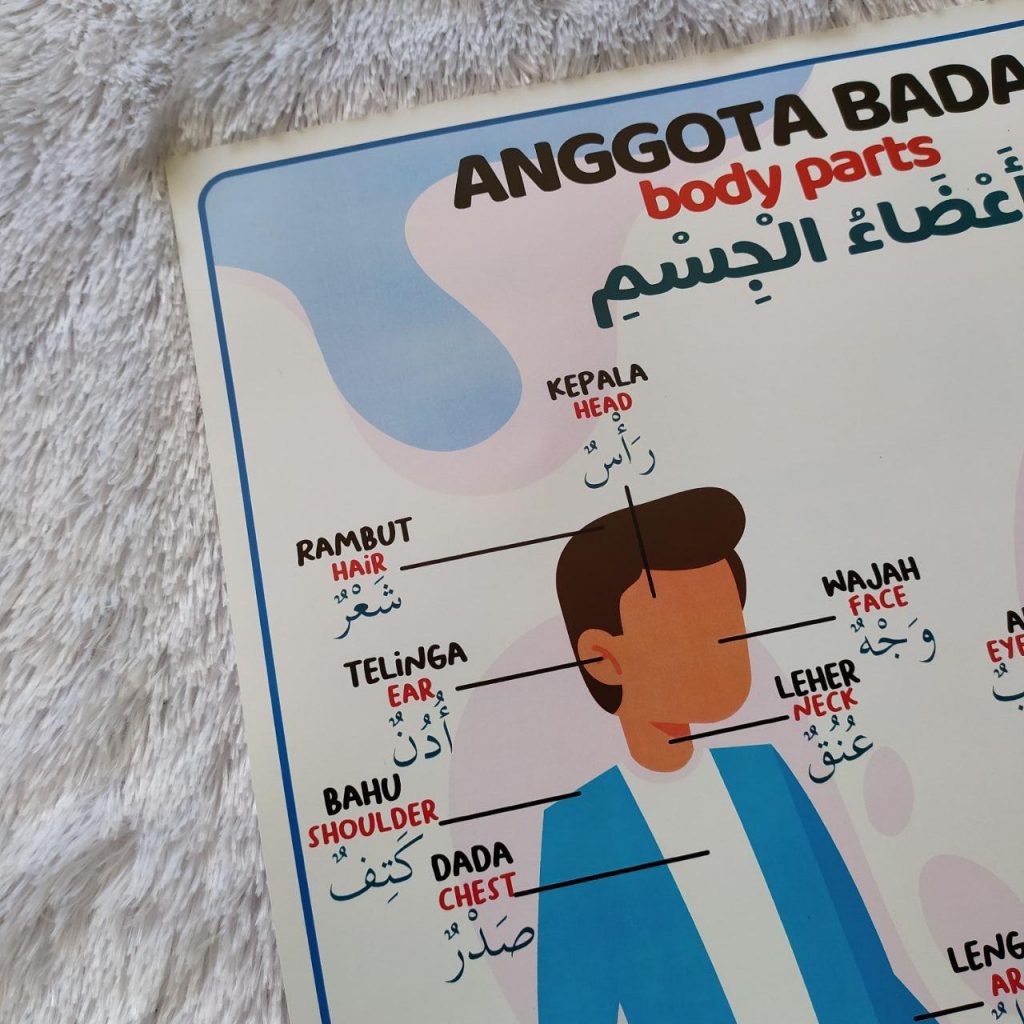Detail Gambar Anggota Badan Nomer 40