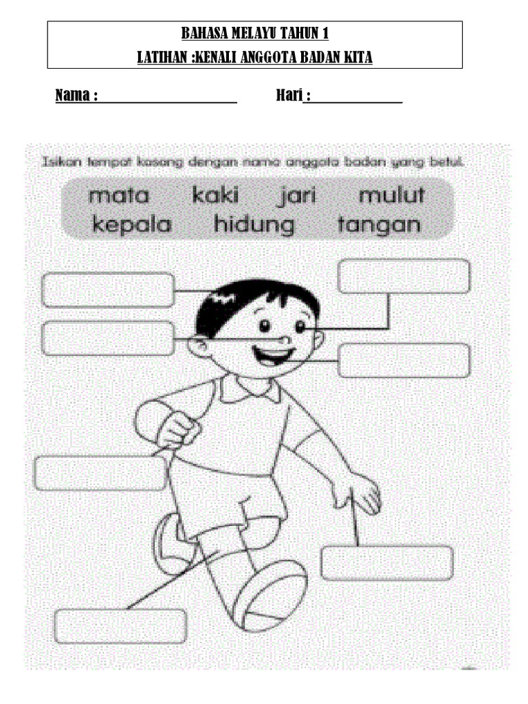 Detail Gambar Anggota Badan Nomer 42