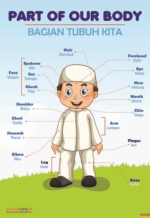 Detail Gambar Anggota Badan Nomer 45