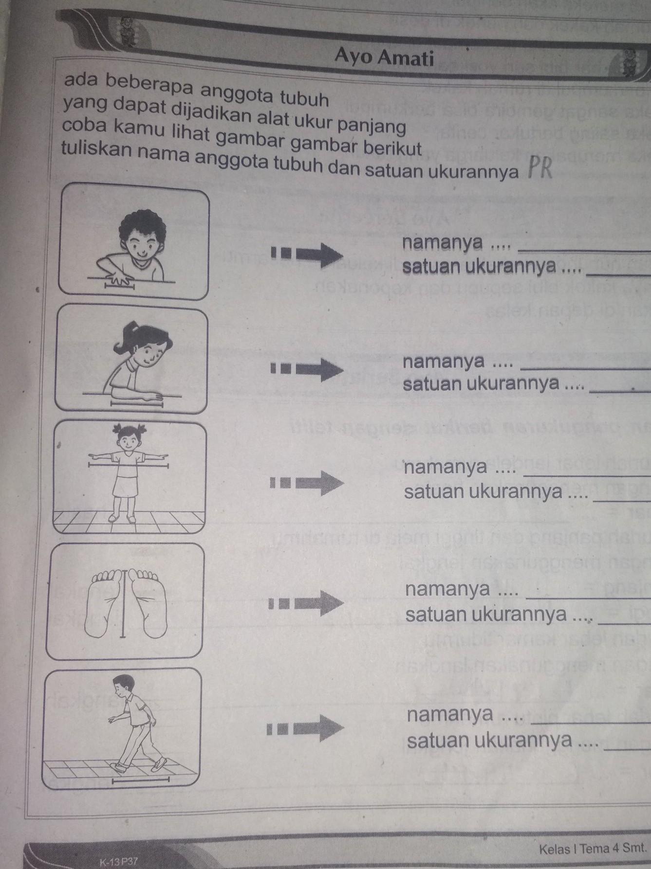 Detail Gambar Anggota Badan Nomer 52