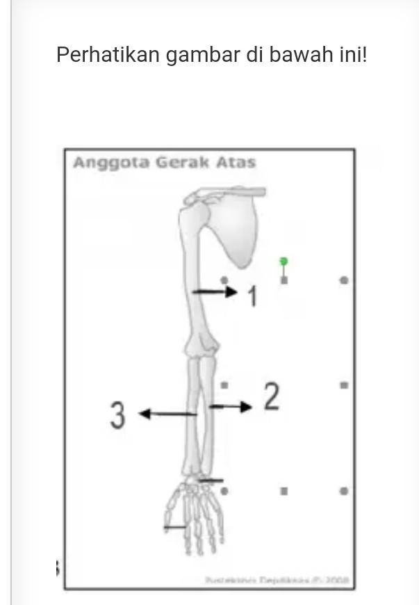 Detail Gambar Anggota Gerak Nomer 6