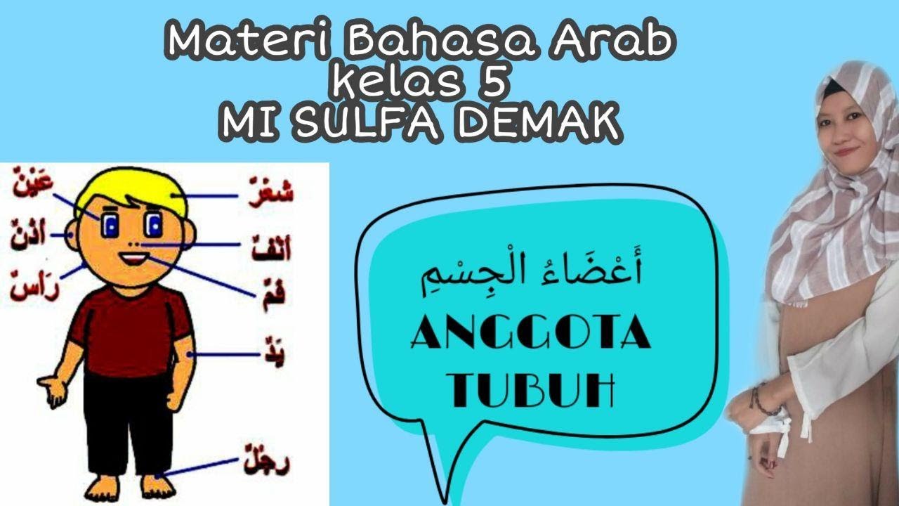 Detail Gambar Anggota Tubuh Bahasa Arab Nomer 26