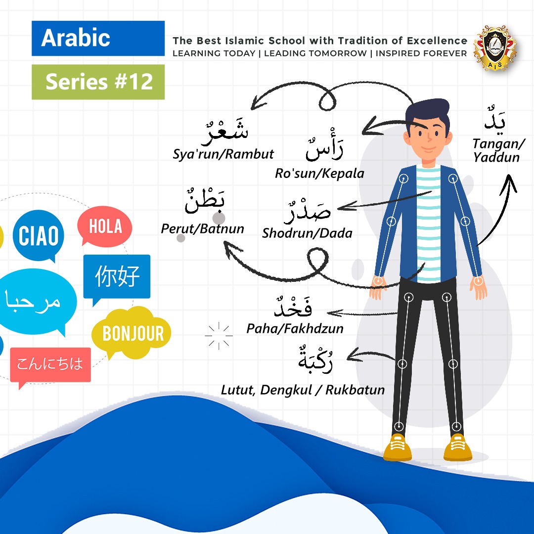 Detail Gambar Anggota Tubuh Bahasa Arab Nomer 37