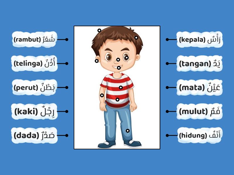 Detail Gambar Anggota Tubuh Bahasa Arab Nomer 45