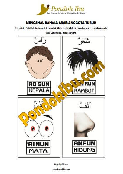 Detail Gambar Anggota Tubuh Bahasa Arab Nomer 51