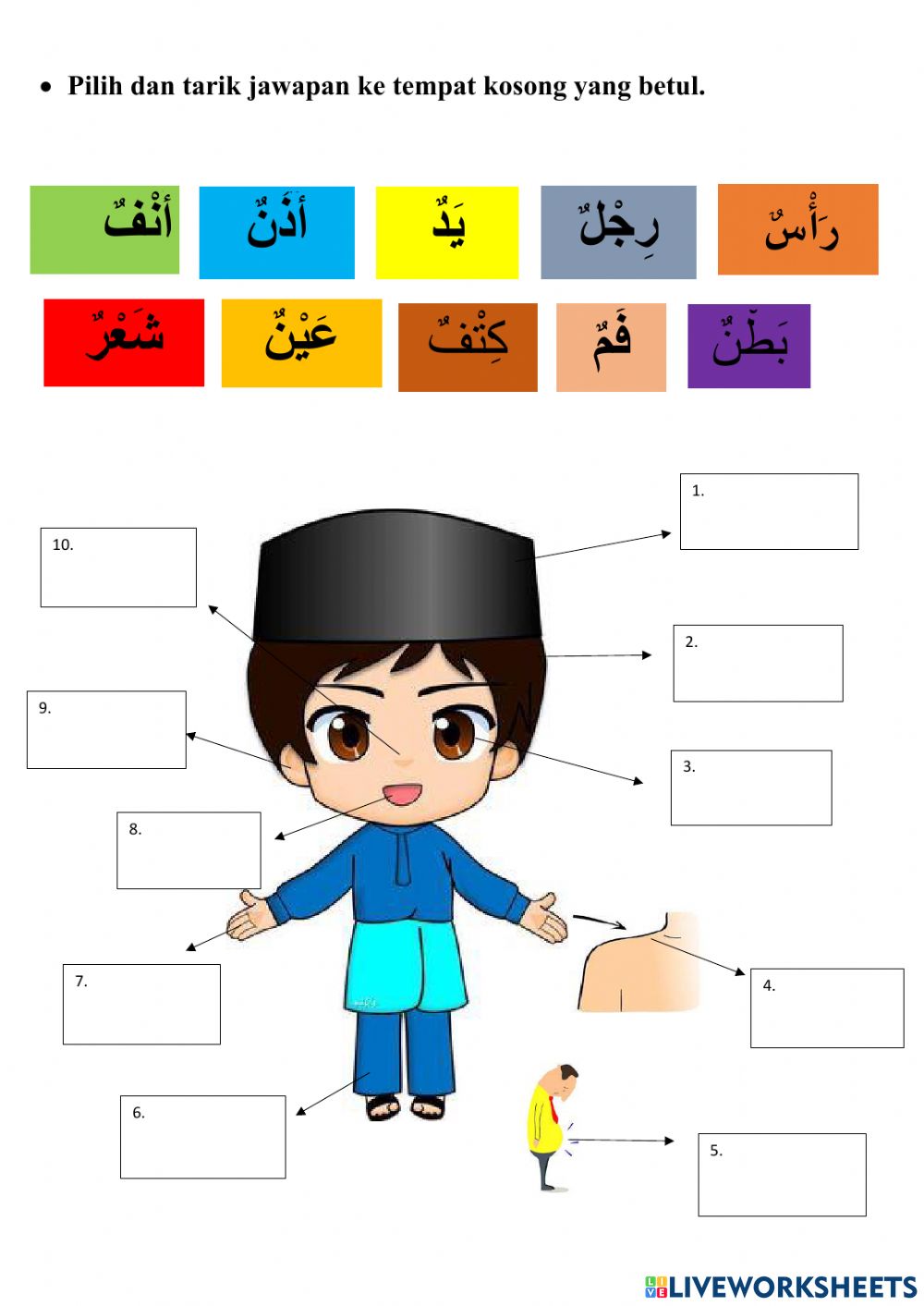 Detail Gambar Anggota Tubuh Bahasa Arab Nomer 7