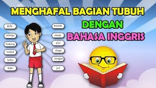 Detail Gambar Anggota Tubuh Bahasa Inggris Nomer 26