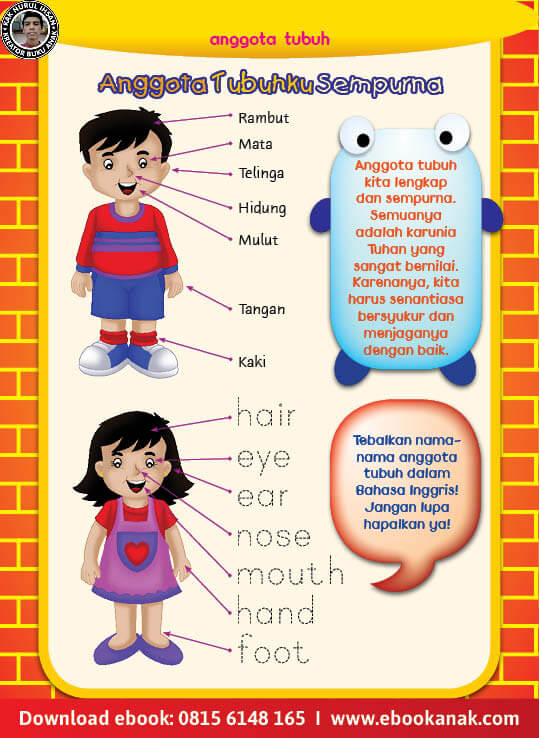 Detail Gambar Anggota Tubuh Bahasa Inggris Nomer 40