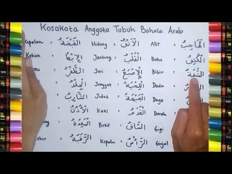 Detail Gambar Anggota Tubuh Dalam Bahasa Arab Nomer 2