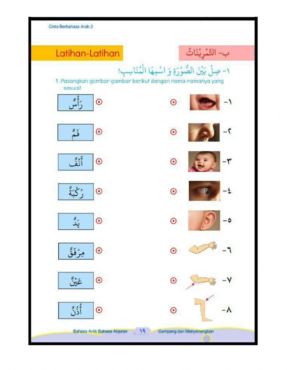 Detail Gambar Anggota Tubuh Dalam Bahasa Arab Nomer 11